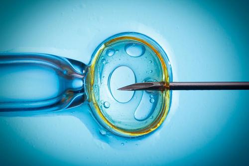 株洲二代供卵助孕：2022年东营市人民医院试管婴儿，这里有费用和成功率。